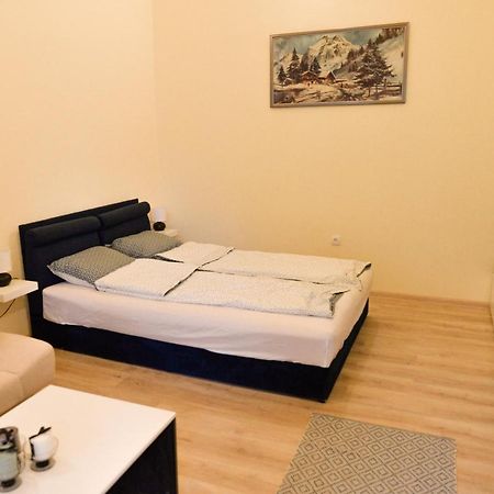Centrum Apartment Senta Bagian luar foto